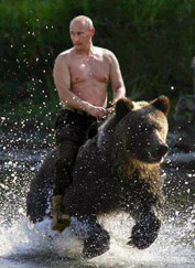 Putin Riding a bear shirtless